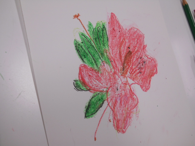 DSCN1498.JPG