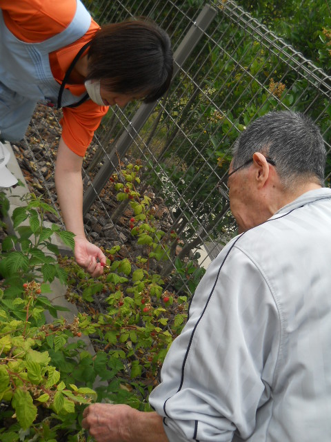 DSCN1672.JPG