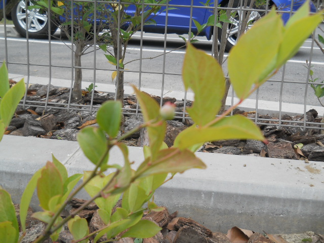 DSCN1677.JPG