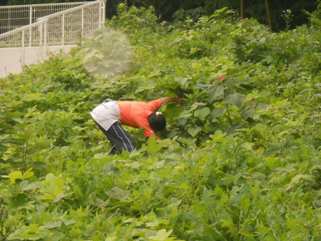 DSCN1699.JPG