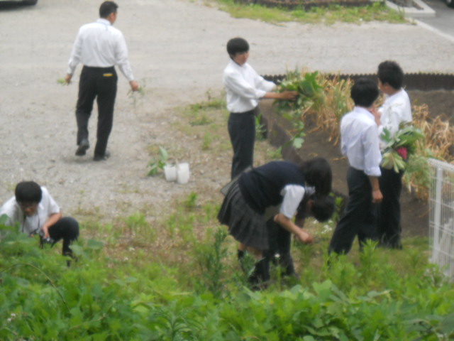 DSCN1700.JPGのサムネイル画像