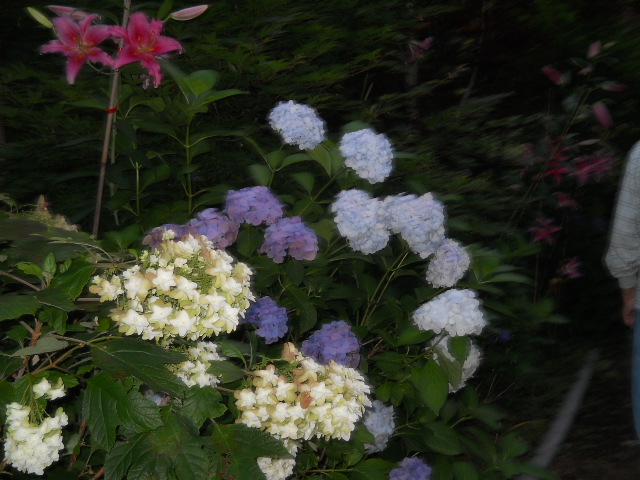 DSCN1822.JPG