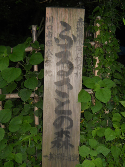 DSCN1823.JPG