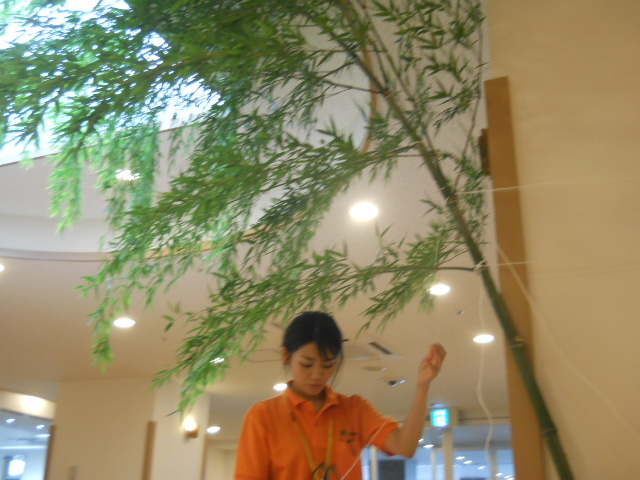 DSCN1835.JPG