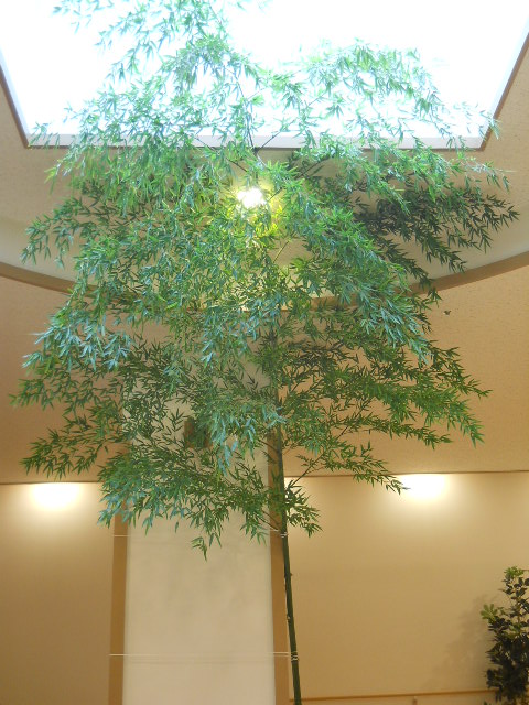 DSCN1836.JPG