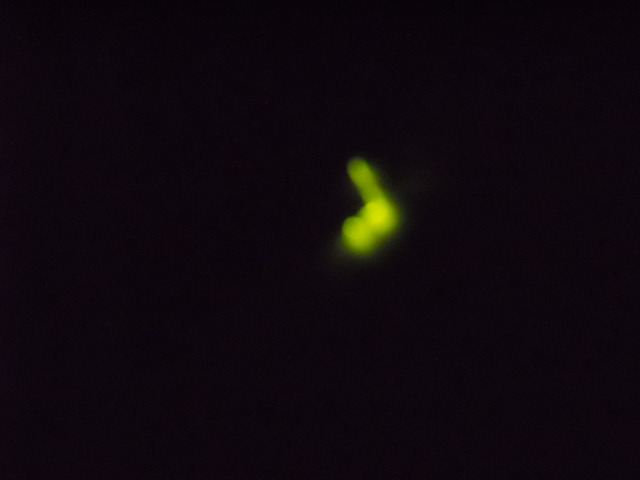 DSCN1841.JPG
