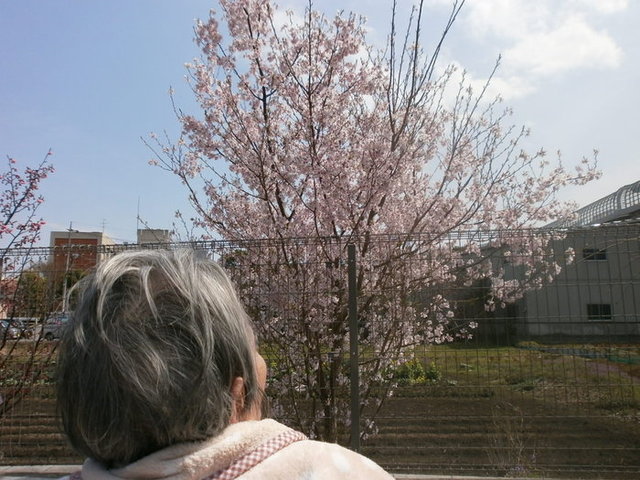 P4011505.JPG