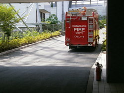 P6232304@.JPG