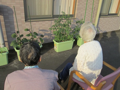 夕涼み.JPG