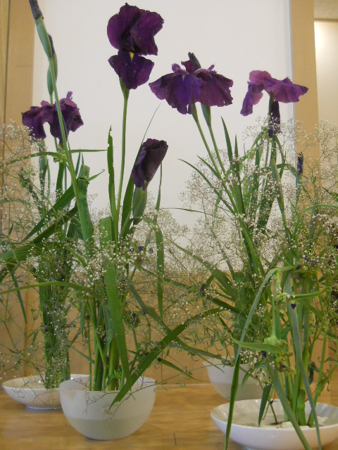 DSCN1581.JPG