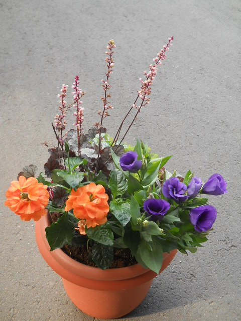 DSCN1749.JPG