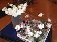 DSCF0752.JPG