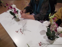 DSCF0756.JPG