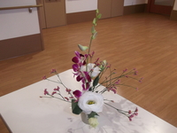 DSCF0766.JPG