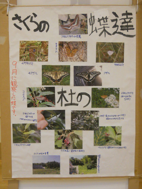 DSCN2660.JPGのサムネイル画像