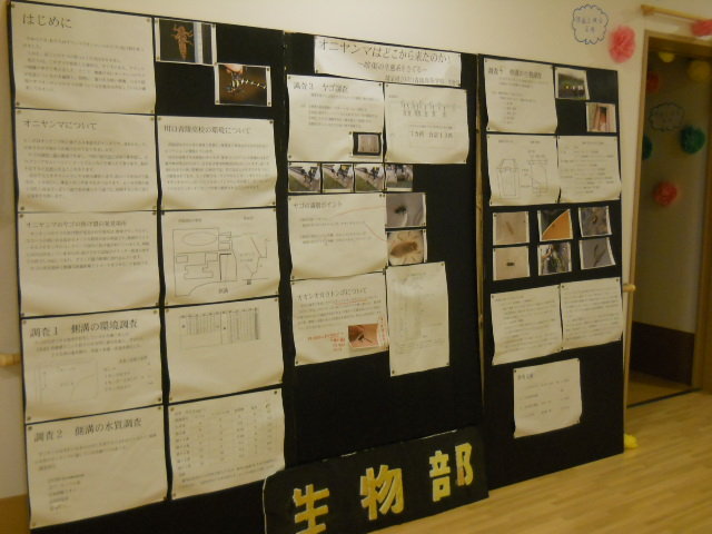 DSCN2667.JPG