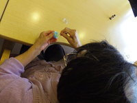 IMGP0151@.JPG