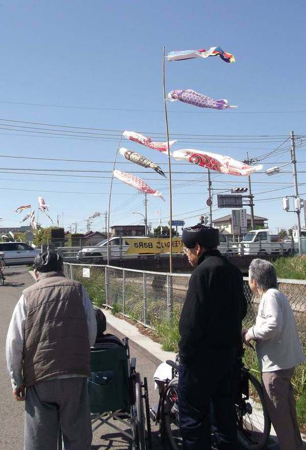 見沼こいのぼり.jpg