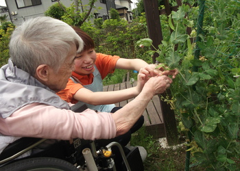 見沼農園その４①.jpg